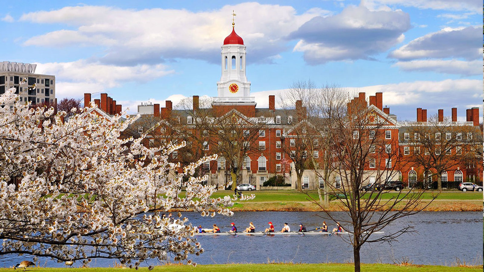 FLS  Harvard University  STEM Yaz Okulu,Boston