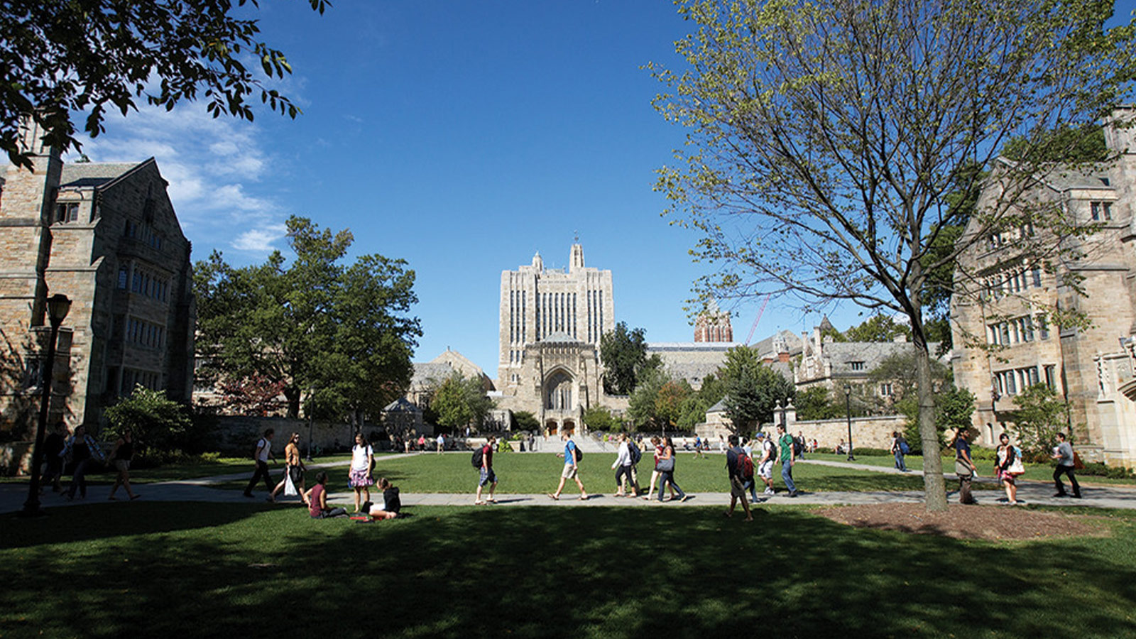 Yale University ISSOS  Yaz Okulu,New Haven